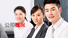 公司概況